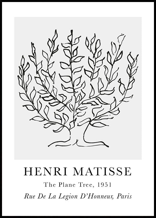 H. Matisse The Plane Tree Poster - Posterbox.art
