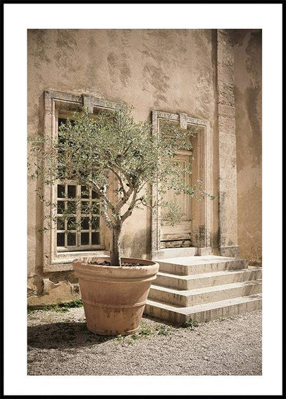 Tree Poster - Posterbox.art
