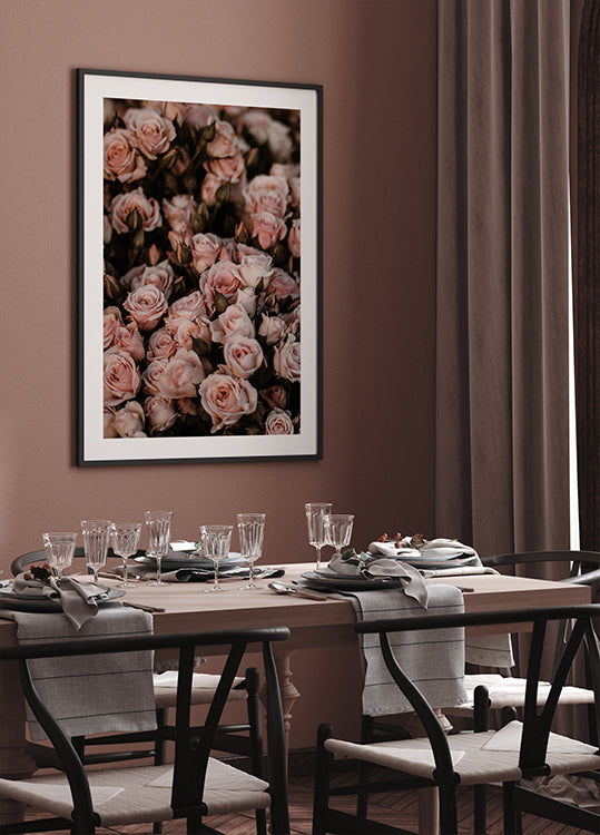 Blush Pink Roses Poster