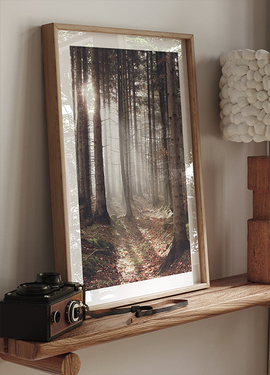 Sunbeam Forest Poster