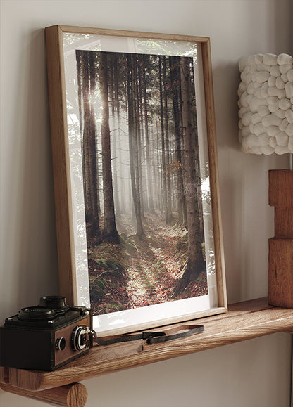 Sunbeam Forest Poster