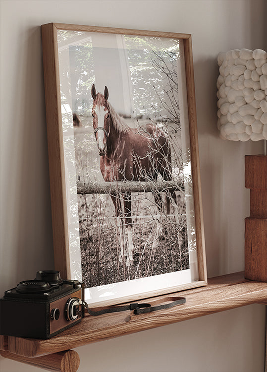 Rustic Brown Horse in Pastel Countryside Poster