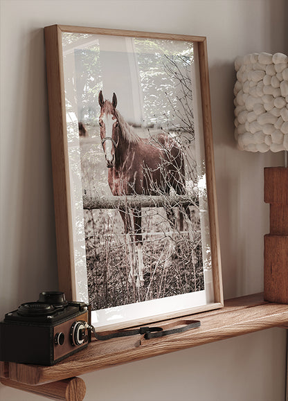 Rustic Brown Horse in Pastel Countryside Poster