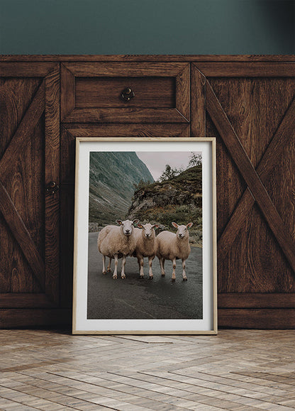 Three Sheep in Mountain Landscape Poster