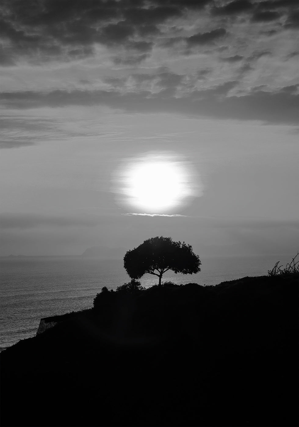One Tree At Sunset Poster - Posterbox.art