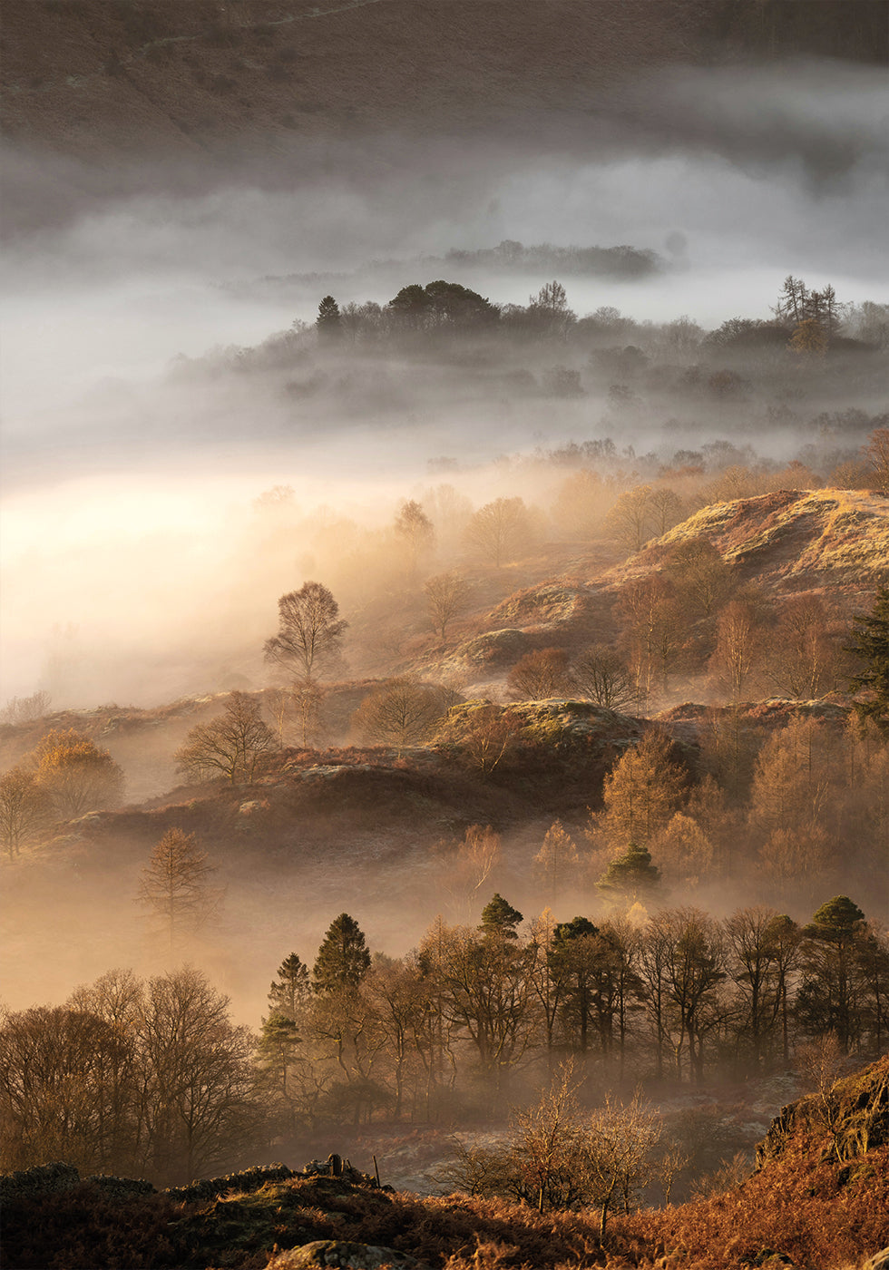 Wonderful Autumn Morning Poster